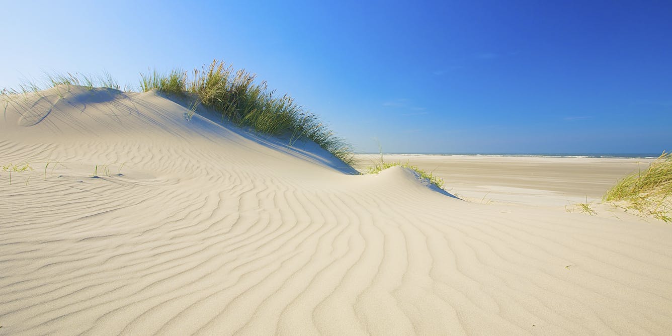 Where does beach sand come from?